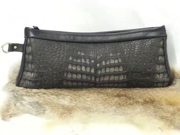 Caiman-crocodile